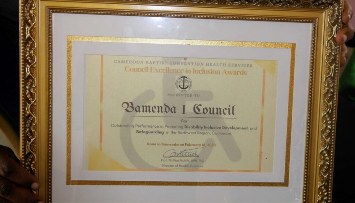 Promotion of Disability Inclusive Development and Safeguarding Award to Bamenda 1 Council